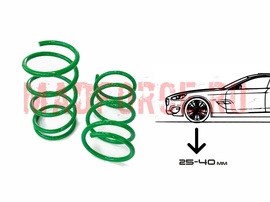 Пружины заниженные Subaru Legacy BL/BP пара, передние